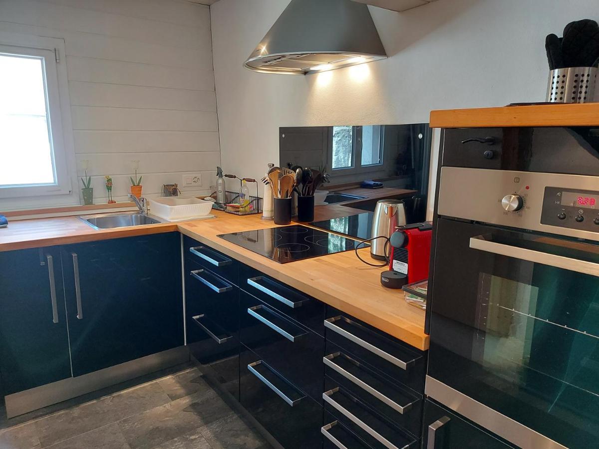 Appartement Voute En Gruyere Dans L'Intyamon Enney Kültér fotó
