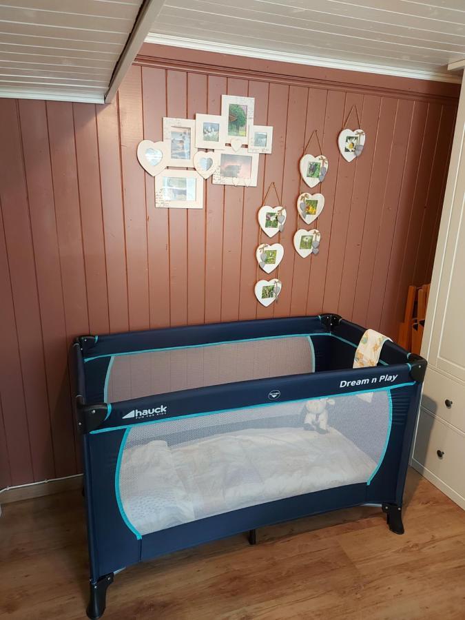 Appartement Voute En Gruyere Dans L'Intyamon Enney Kültér fotó